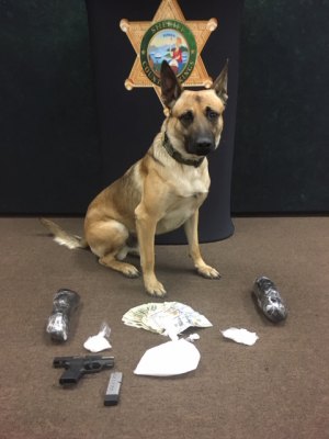 A Kings County Sheriffs Department K-9 helped sniff out a suspects vehicle, finding narcotics and an illegal weapon.